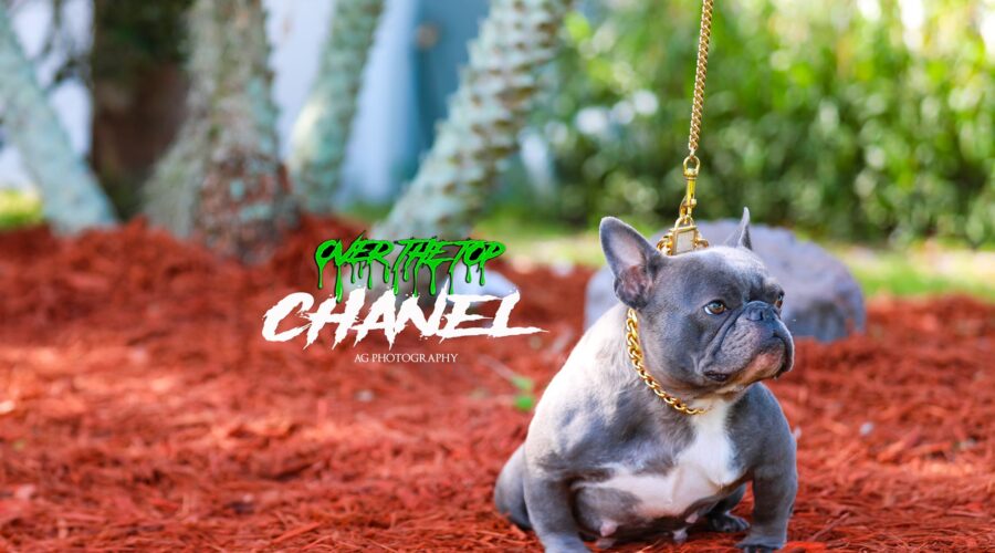 CHANEL – Blue
