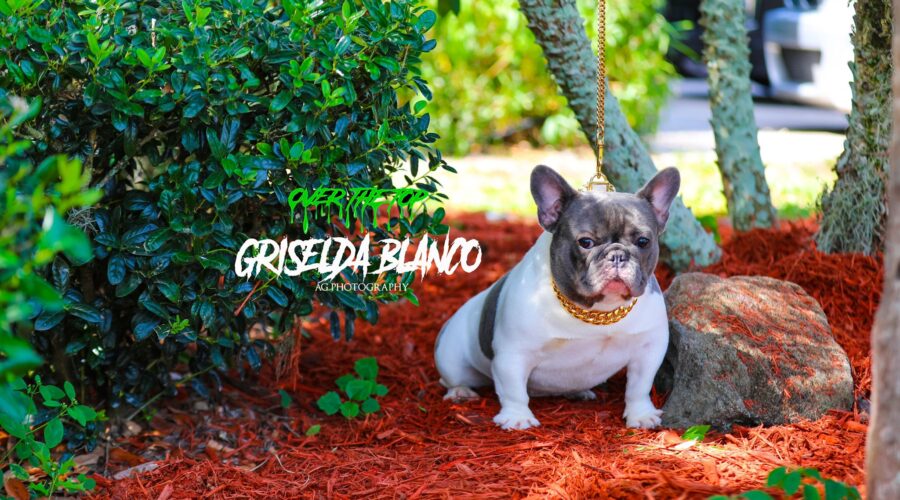 GRISELDA BLANCO – Blue pied