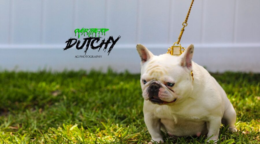 DUTCHY – Blue