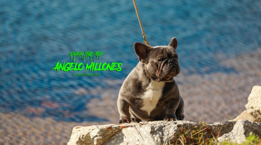 ANGELO MILLONES – Blue